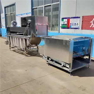 宏强全自动家禽脱毛机，全自动杀鸡脱毛机厂家直销