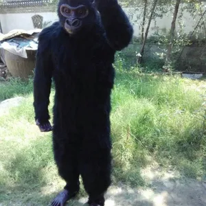����Գ�˺�����ģ��