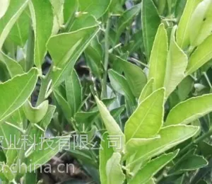 �����ݴ���¹կ�۳�������_������������¹կ�۳�����_������¹կ�۳����������