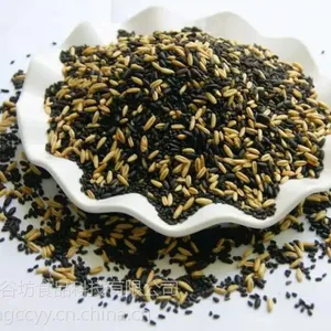 供应现磨豆浆——现磨豆浆原材料(烘焙豆)