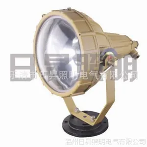 河北 沧州 SBD3110防爆投光灯 厂家直销