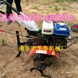 ����΢������Ӧ���� ʥ³***����������