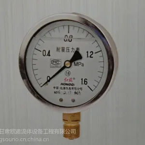 红旗不锈钢隔膜耐震压力表