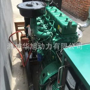 30ǧ�ߵ���ò��ͷ�����鴿ͭ��ˢ���
