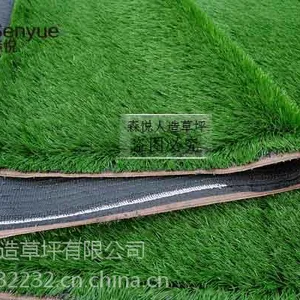 单si足球草 足球草中***质量的一款草坪 质量***哦