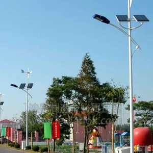 迪曼厂家直销50W太阳能路灯 太阳能风光互补路灯 led太阳能高杆灯 质保3年