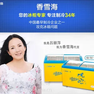 ��ѩ�����SD/SC-266YA��ʽ���/͸��չʾ/�䶳���/���õ��µ����