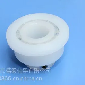广州厂家供应清洗设备专用非标挡边塑料轴承