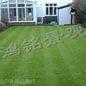大连人造草坪多钱?
