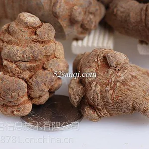 云南三七精选文山三七水洗全干春三七