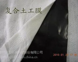 超值热卖国标1.5mmHDPE防水板工艺精湛隧道防水板 东方环保定制