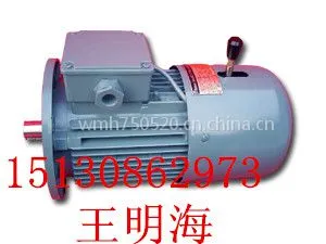 ��Ӧ��ˮ����YEJ355L2-6-250KW����ƶ����