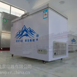 ȫ������ ʤȪ������ʽ�������290������ ����䶳����� ***