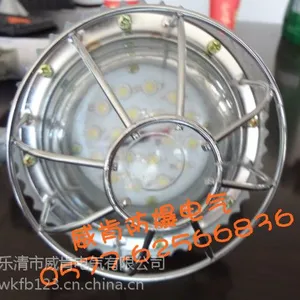 矿用隔爆型LED巷道灯DGS-12/127L(A)