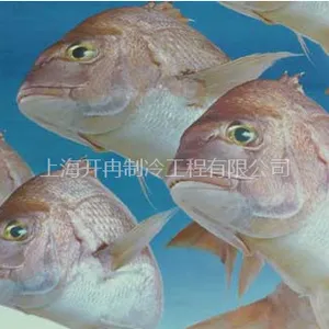 ˮ��Ʒ���ʿ⣬ˮ��Ʒ��ؿ⽨�죬���ʿ����