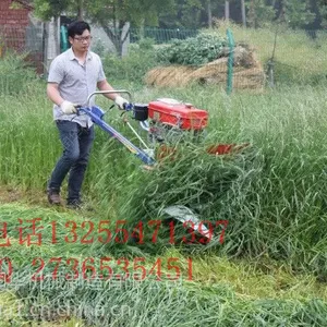 �ַ�������ޣ�ݸ�ɹ�� ���ǲݴ����ո�� С�͵����ɹ��