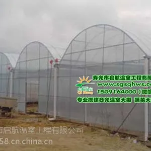 温室蔬菜大棚 简易连栋拱棚 寿光市启航温室