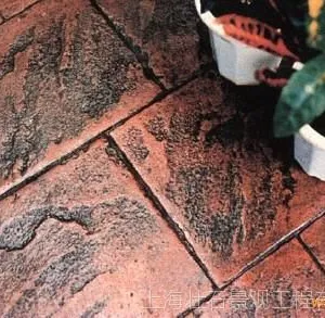 热销供应  彩色混凝土压模地坪 压花地坪 压印地坪 艺术地坪厂家