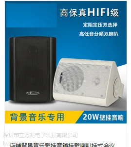 多媒体木质有源壁挂音箱