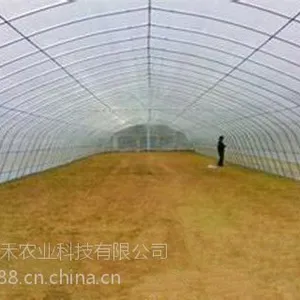塑料薄膜蔬菜大棚建设--潍坊那个三禾农业