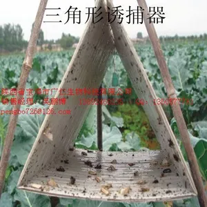 ��Ӧ���������ղ���