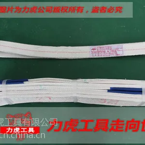 力虎工具 2T*1M扁平吊带 起重吊装带 吊带 2吨1米 白色 吊装带 厂家直销 可定做
