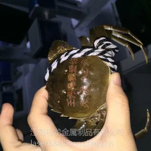 ��Яʽ��������������޴��ӹ�˽��DIY�������ŷ��������