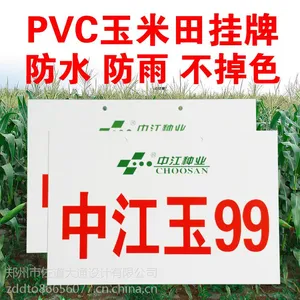 PVC������������� �����ֹ���PVC�ƹ�����н���99������������
