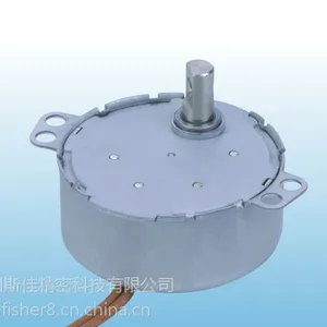 厂家直销TY50机/微波炉专用微型减速永磁同步电机马达/可定制