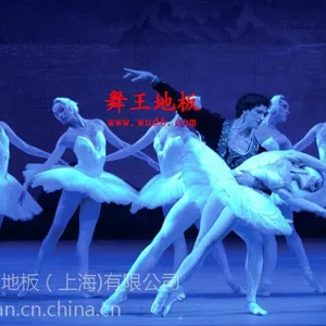 生产,销售,安装一体的舞蹈地胶