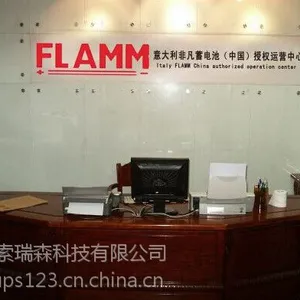 伊犁州非凡蓄电池2XL125进口