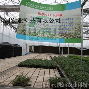 潮汐式灌溉 育苗、花卉种植灌溉 根部灌溉