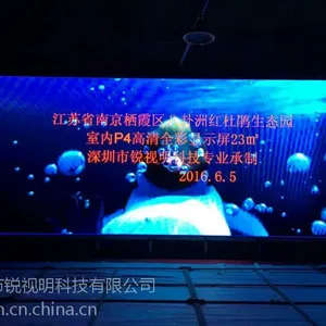 锐视明P3南京案例
