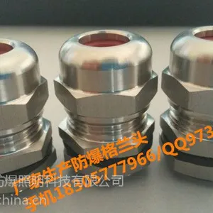 BNG-20*700防爆密封接头挠性管NPT-3/4-G1/2