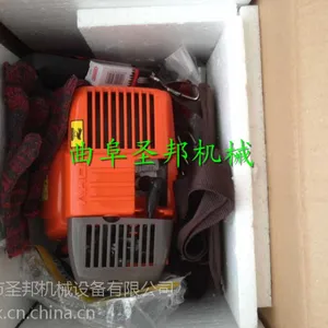 ���Լ۱����ͷ�ľ��֦�� ��Ʒ��3�׳�����ʽ��֦��