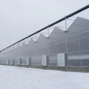 天津柯云阳光板供应十年质保可定做