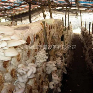 使用食用菌喷雾加湿设备?,加湿降温效果好?