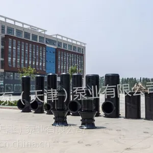 耐高温潜水轴流泵