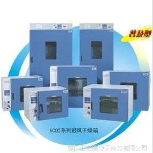 鼓风干燥箱/DHG-914***/DHG-9030(A)/干燥箱全国热销
