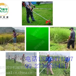 �Ӳݿ���������ݻ� ������ʳ�ո�� ����������