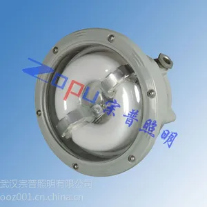 GC102免维护节能无极灯