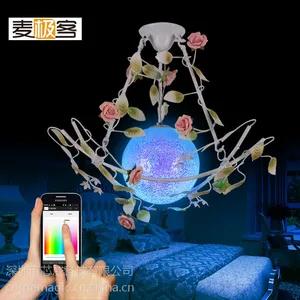 麦极客智能控制灯 智能调光灯 智能水晶灯 会所灯 创意灯 小资灯