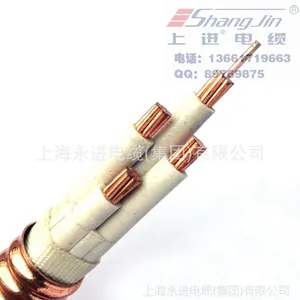 【企业集采】YTTW防火电缆、矿物质绝缘电缆YTTW-4*25