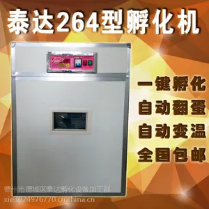 供应泰达TD-264枚鸡/全自动孵化机/小型孵化设备