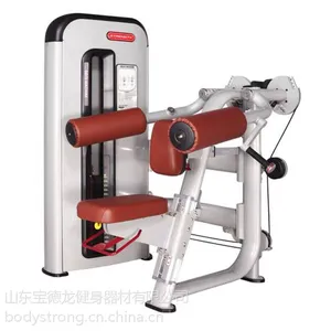 宝德龙商用健身器BW-003A 推肩器