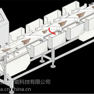 佰达 鸡腿鸡翅重量分级机