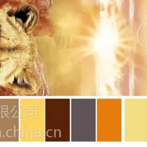 供应春亚纺磨毛布 春亚纺