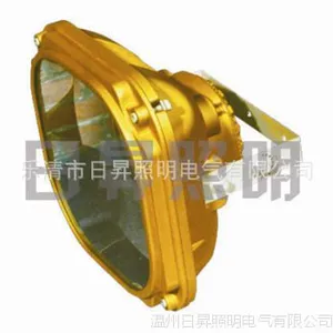 黑龙江 哈尔滨 SBD1130-YQL系列免维护节能防爆泛光灯