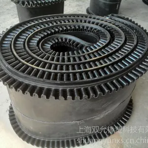 环形皮带,环形裙边皮带品牌供应商,国内环形裙边皮带定制厂家-上海双允橡塑科技有限公司