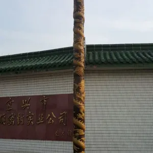 龙柱路灯